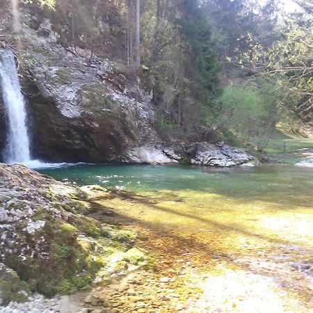 Apartma Vojvoda Bohinj Zewnętrze zdjęcie