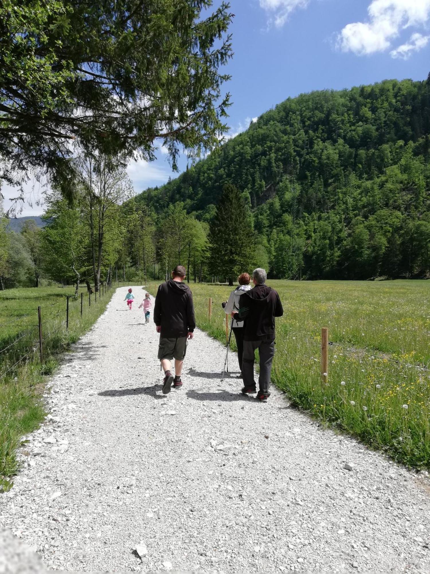 Apartma Vojvoda Bohinj Zewnętrze zdjęcie